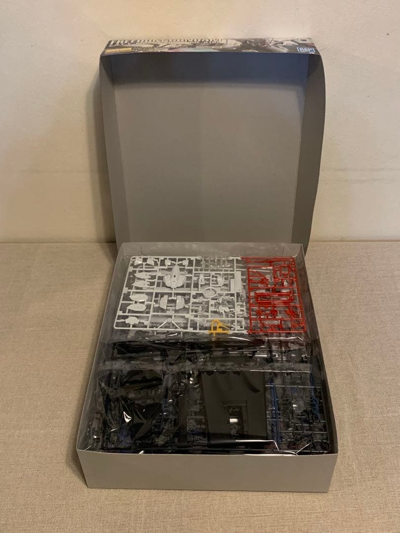 MG フリーダムガンダムVer.2.0