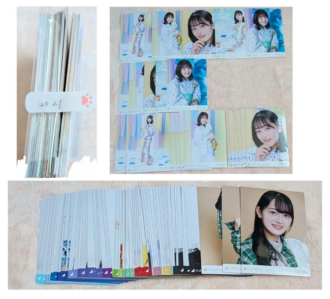 【大量2000↑】 向井葉月 生写真 セット まとめ売り