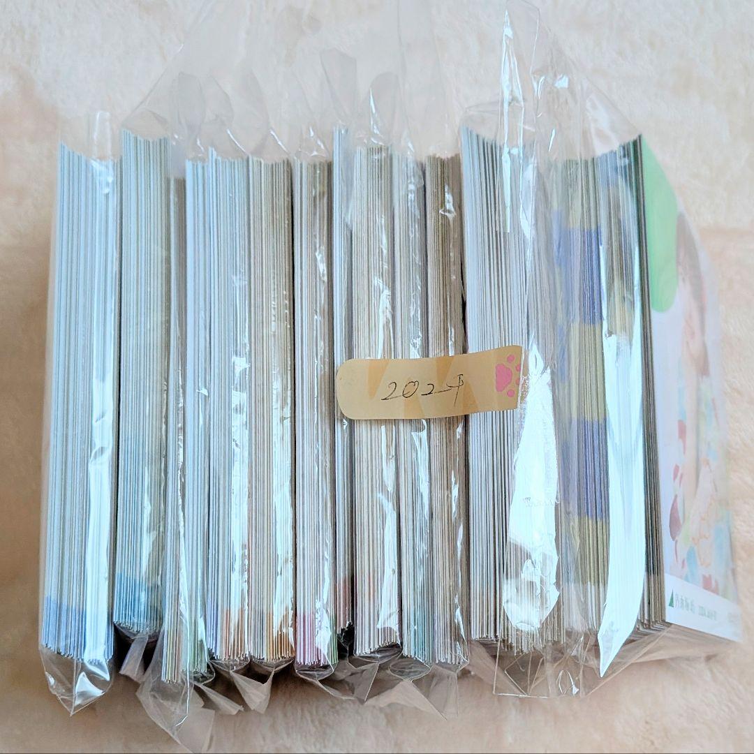 【大量2000↑】 向井葉月 生写真 セット まとめ売り