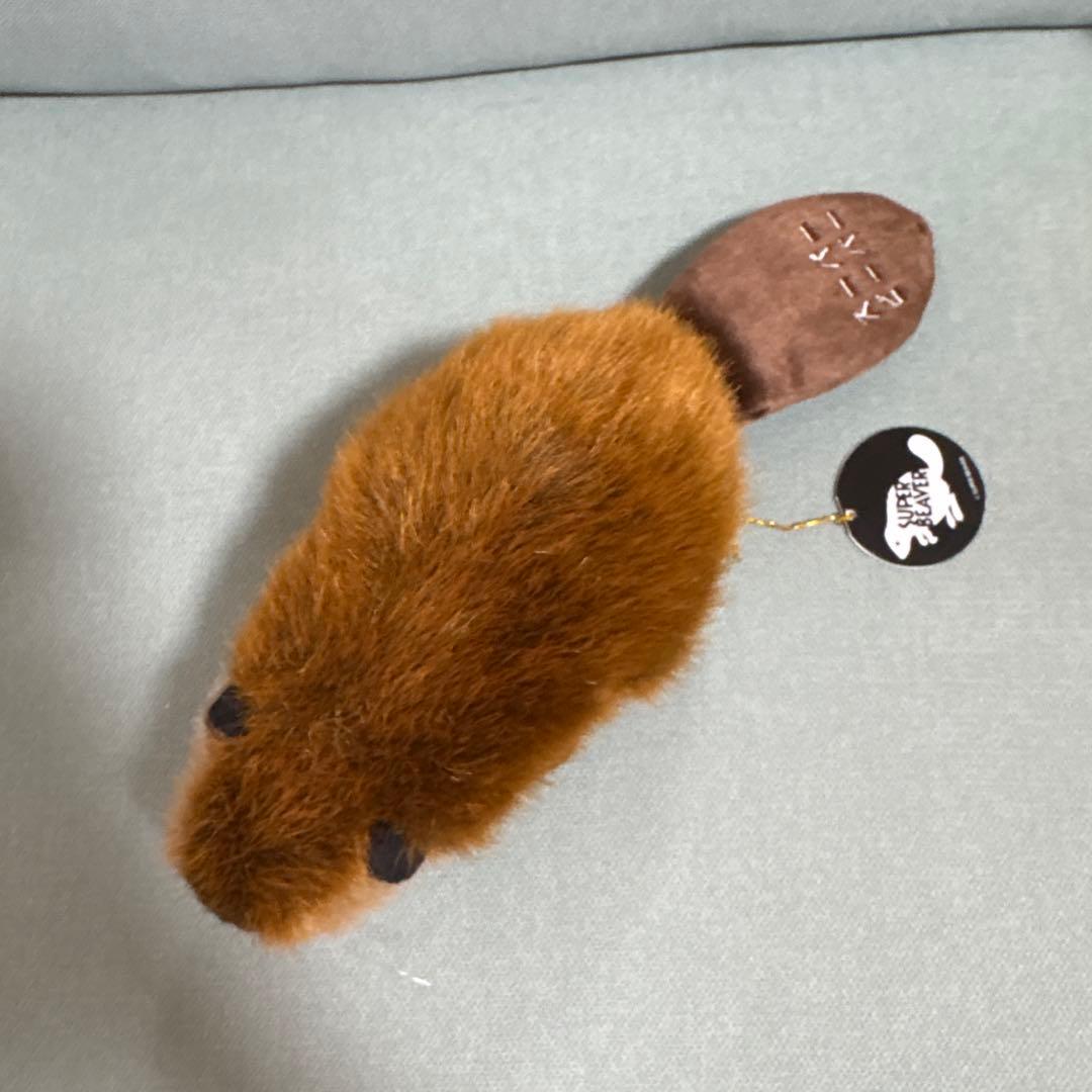 SUPER BEAVER ビーバー ぬいぐるみ