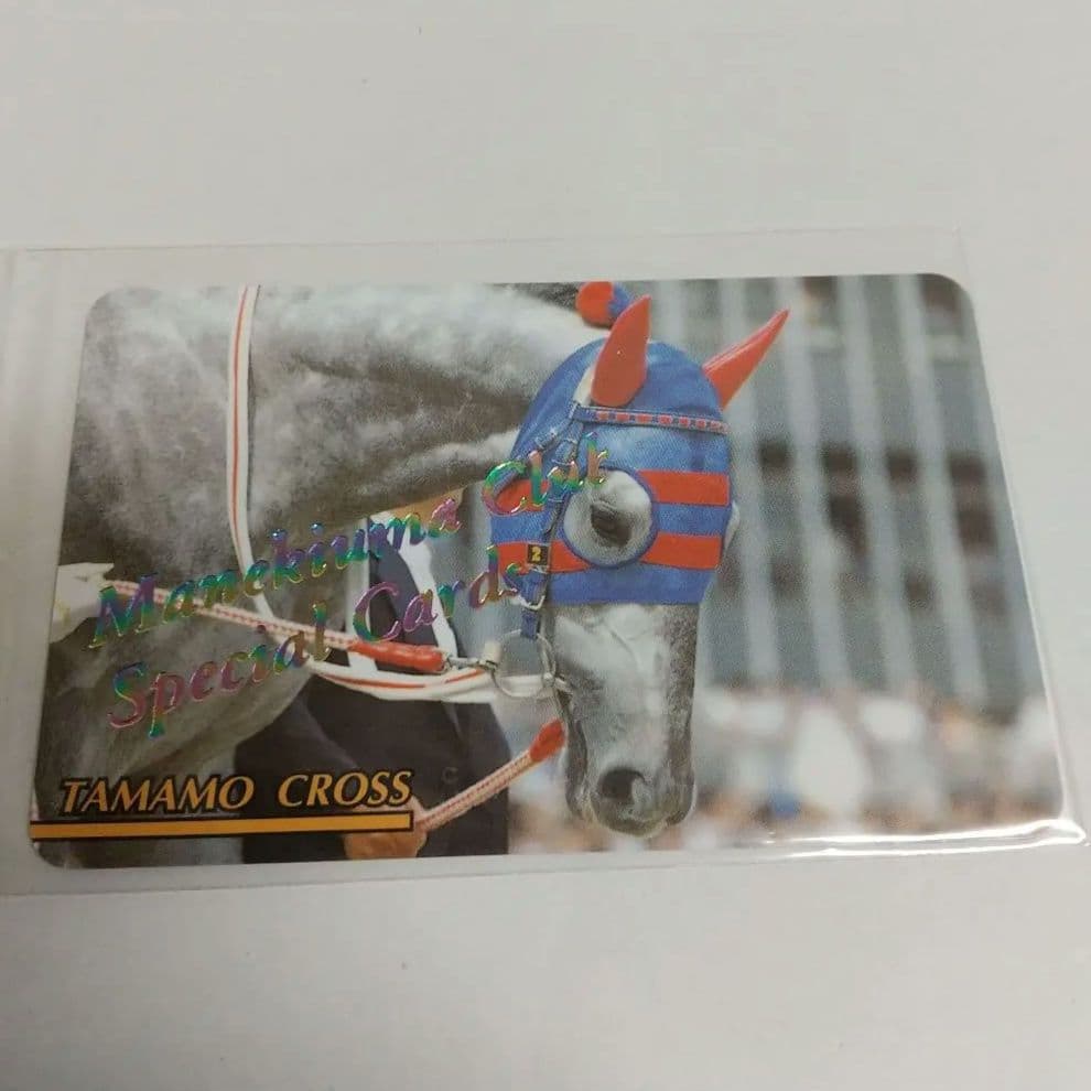 タマモクロス レインボーカード No.424 まねき馬 東ハト 2026年最新】東ハト まねき馬の人気アイテム - メルカリ