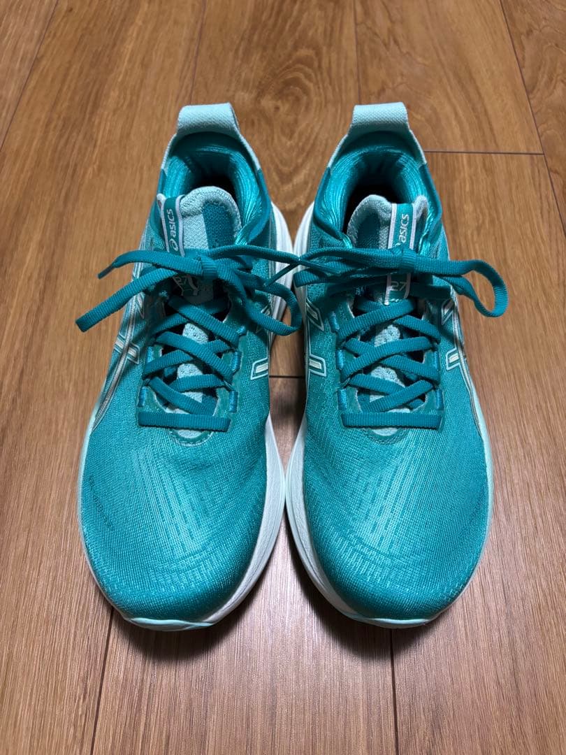 超美品　ASICS GEL-NIMBUS 27 25.0cm レディース