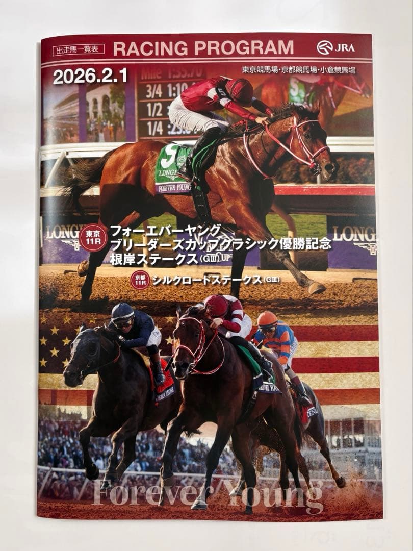 JRA フォーエバーヤング UMACAカード用 着せ替えステッカー 他 - メルカリ