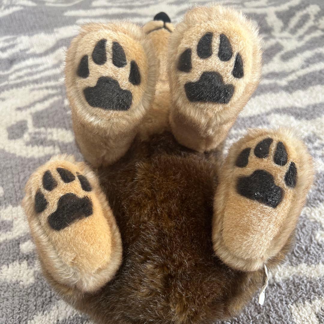 ケーセン　kosen オオカミ　お座り