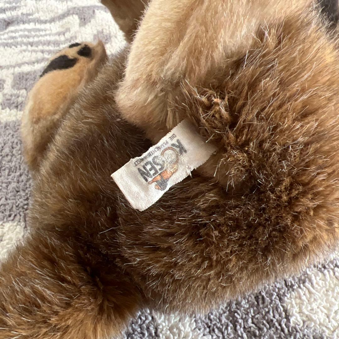 ケーセン　kosen オオカミ　お座り