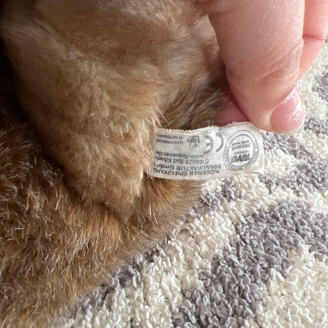 ケーセン　kosen オオカミ　お座り