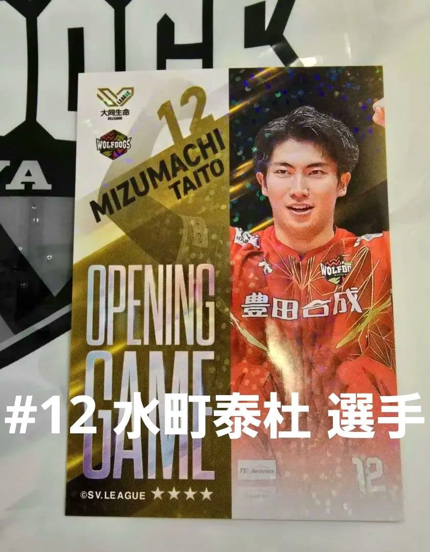 未使用☆非売品 ウルフドッグス名古屋 水町泰杜 選手 Vコレリアル