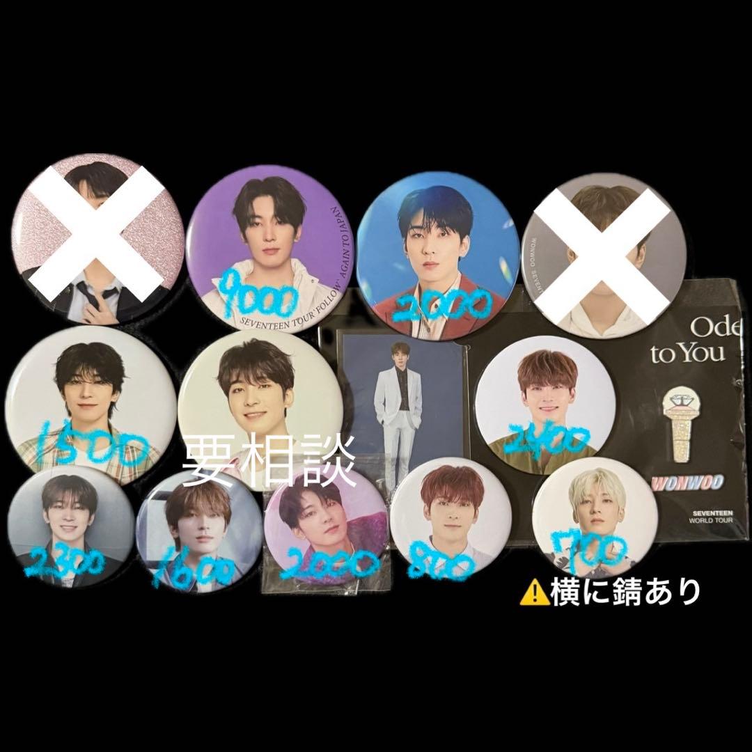 SEVENTEEN ウォヌ 缶バッジ