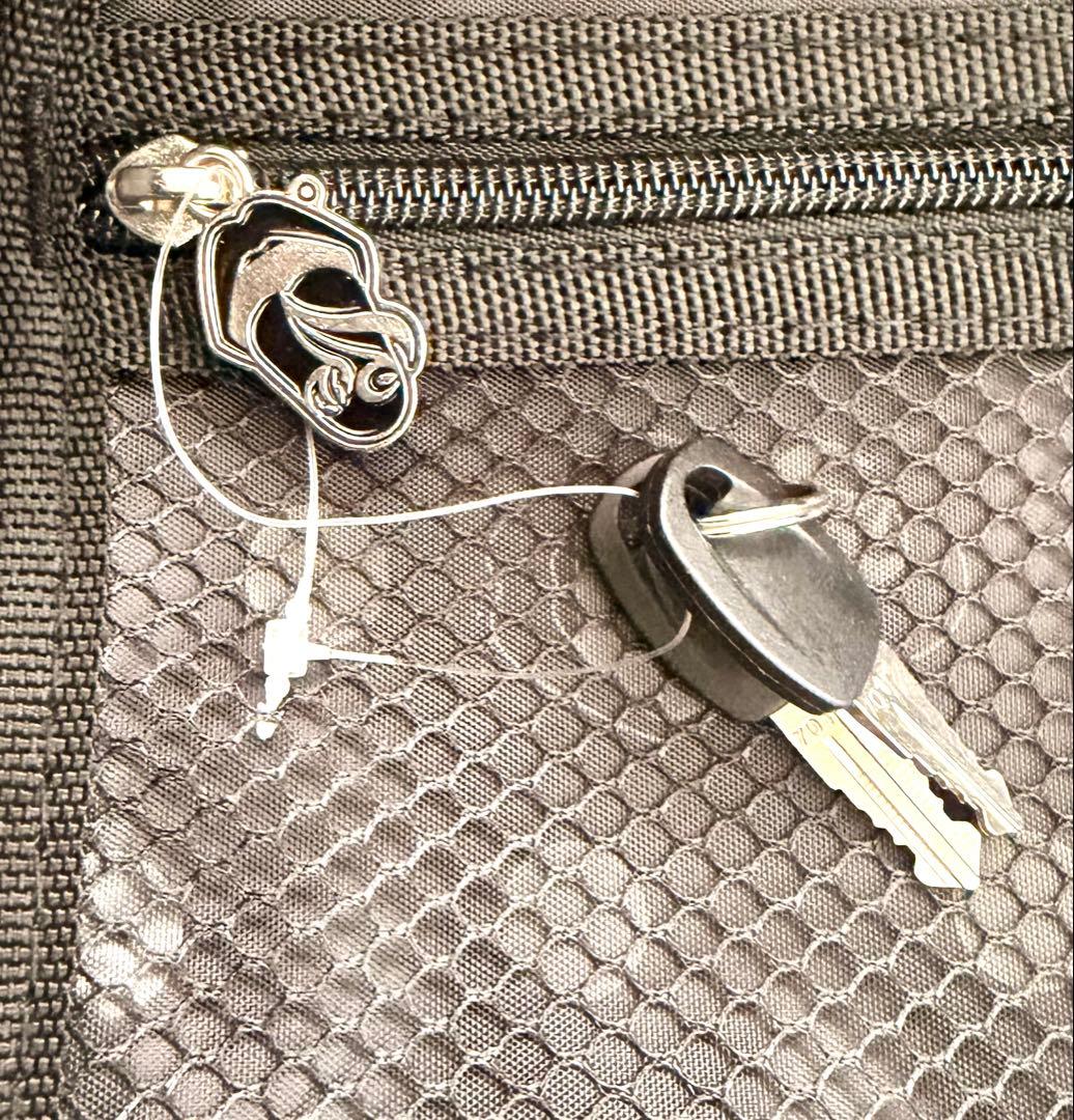 仮*病様 Acid Black Cherry キャリーケース