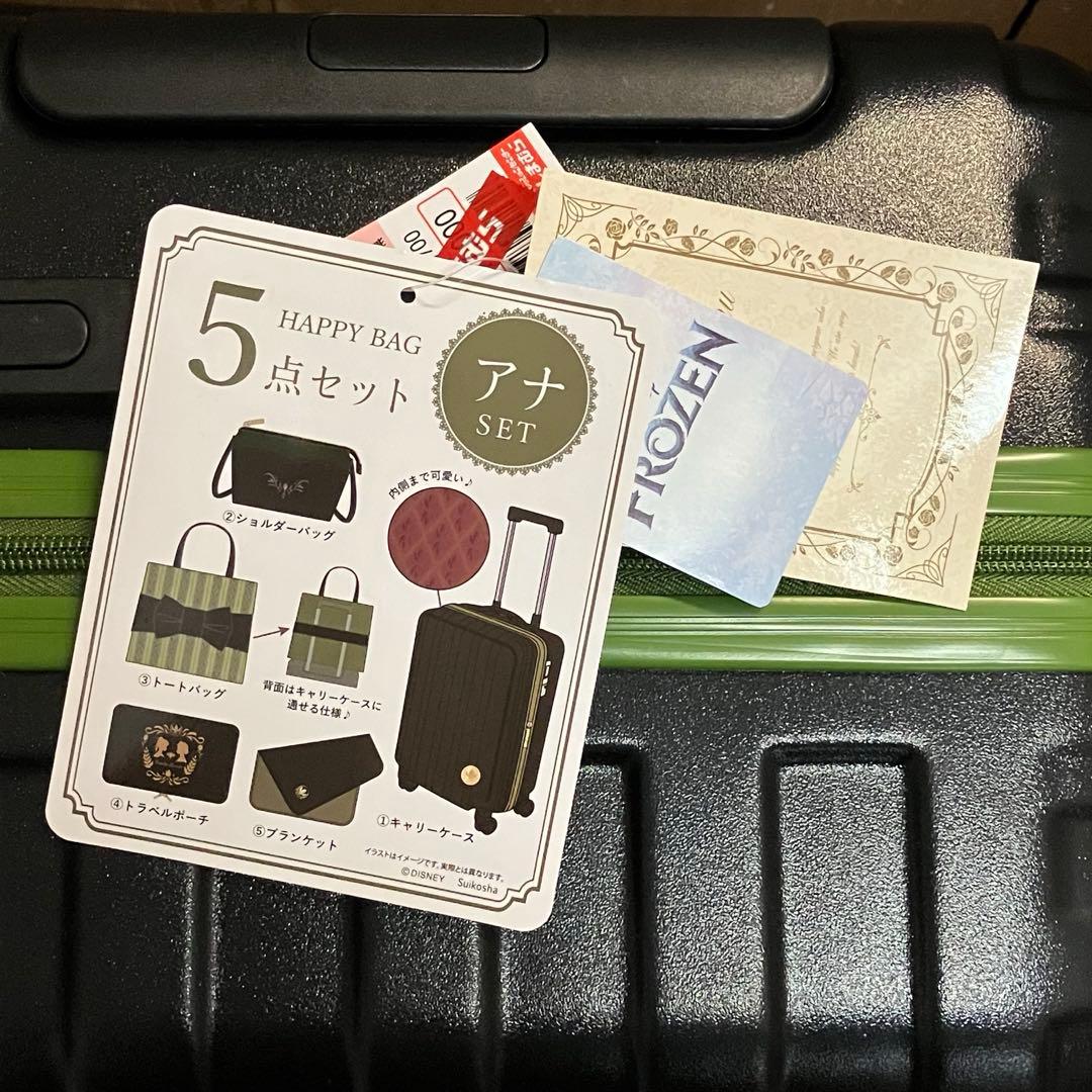 ちはるさんコラボ アナ雪 アナ キャリーケース キャリーバッグ