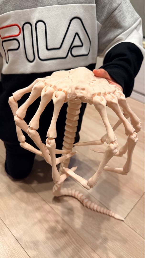 エイリアン/Alien】可動関節式！超リアル実物大 フェイスハガー3Dプリント