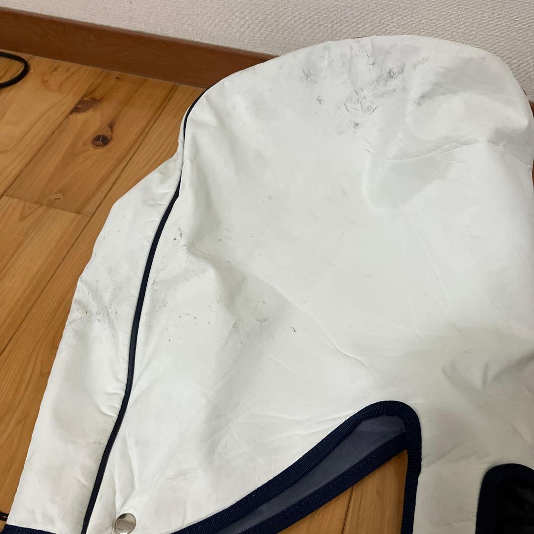 値下げ《レア》ECCO キャディバッグ 9型