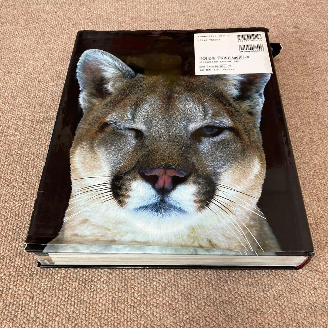 稲尾投手 直筆サイン色紙 鉄腕一代 2007年 稲尾投手生写真入り 直筆