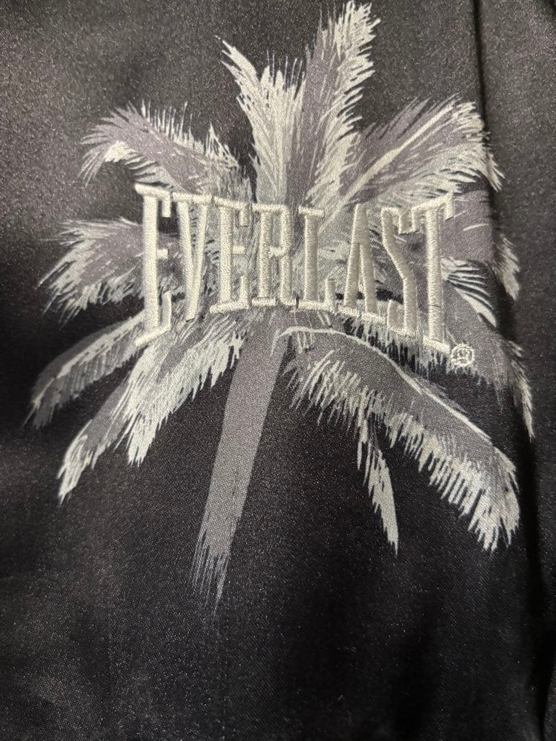 春に散るWIND AND SEA EVERLAST PALM TREE JK