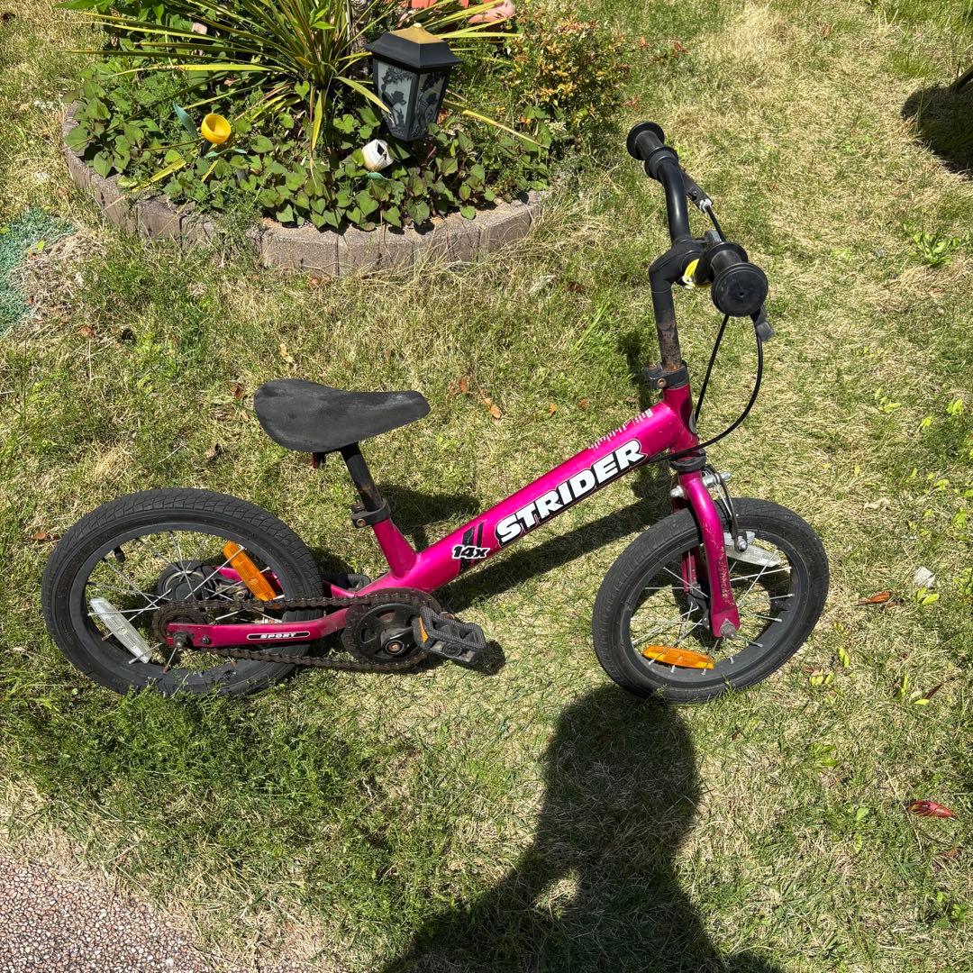 自転車本体 Exotic jungle LAセレブが火つけ役！ 街を颯爽と走り抜ける西海岸風“eバイク