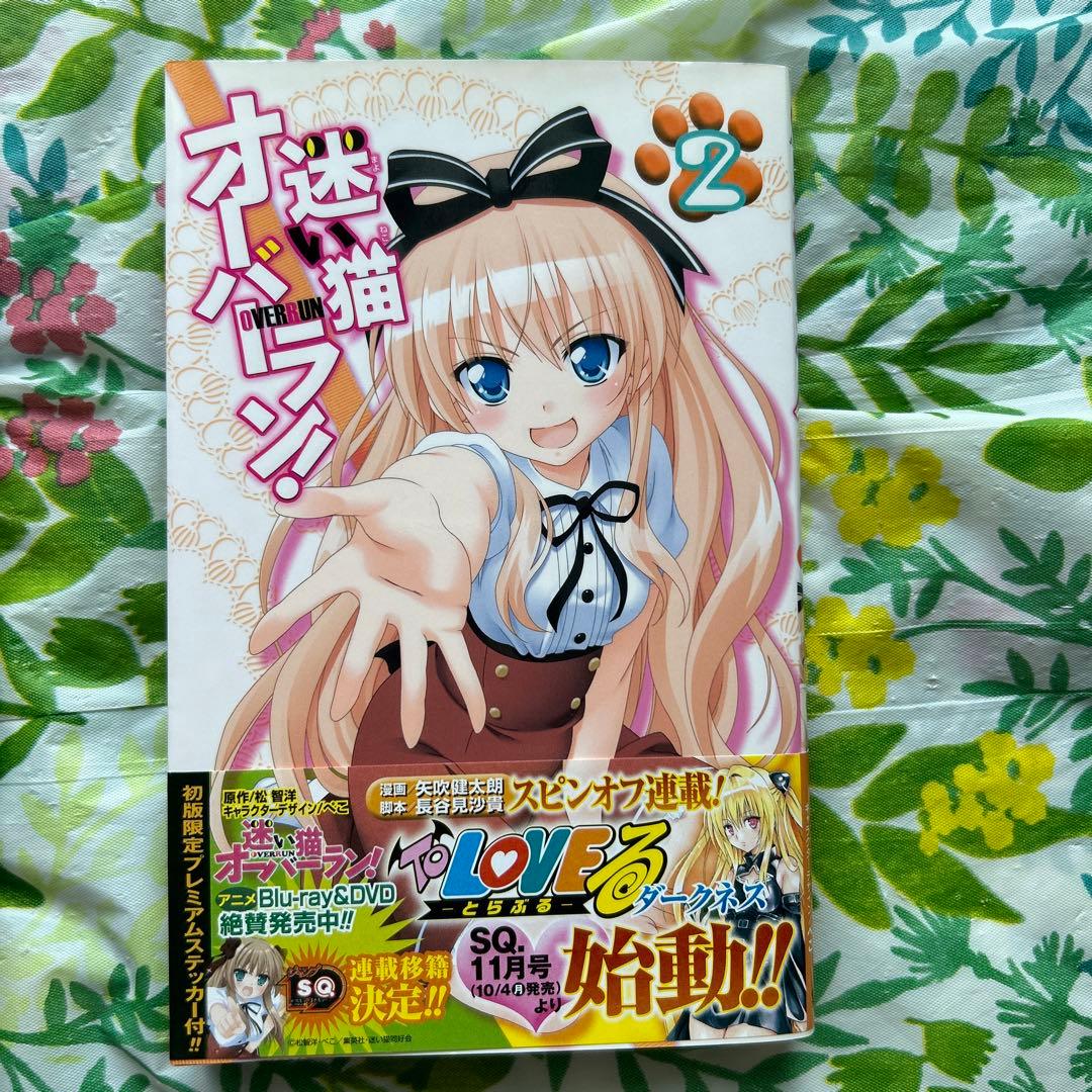 初版限定特典付・販売終了品・完結】迷い猫オーバーラン! 全2巻