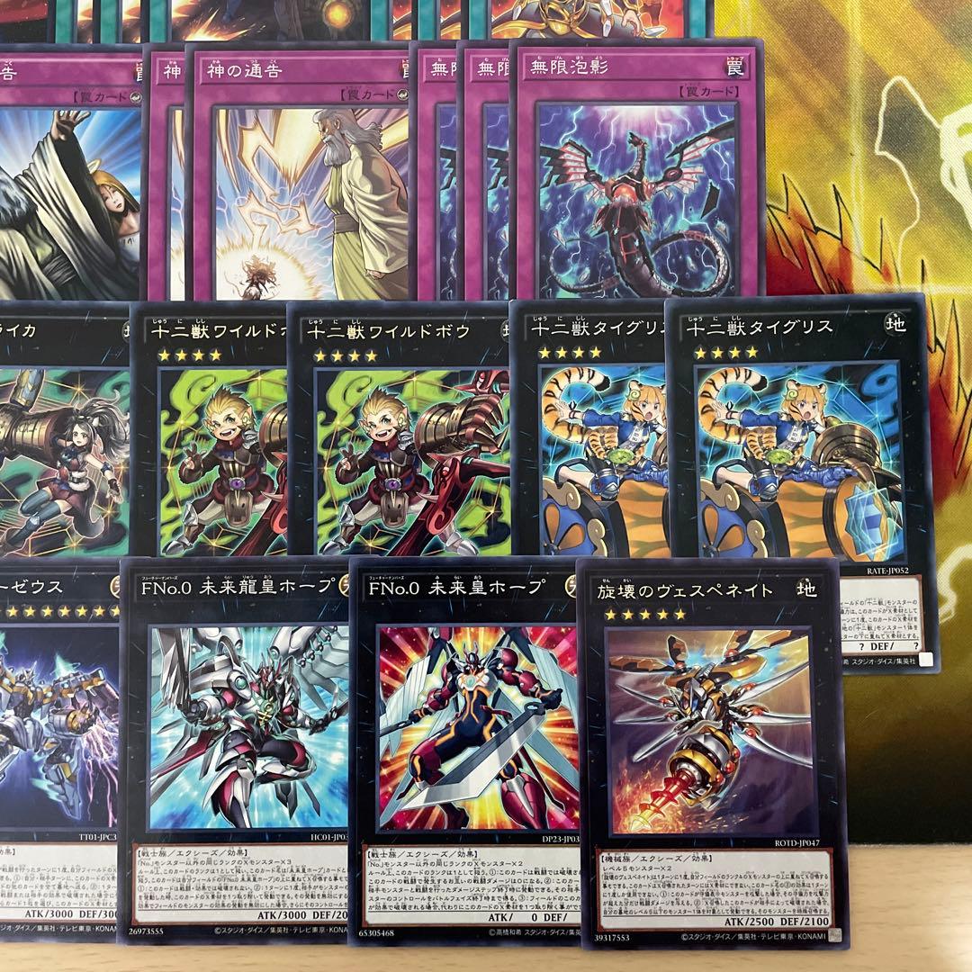 本格構築 十二獣デッキ ドランシア サラブレード 天霆號アーゼウス ライカ