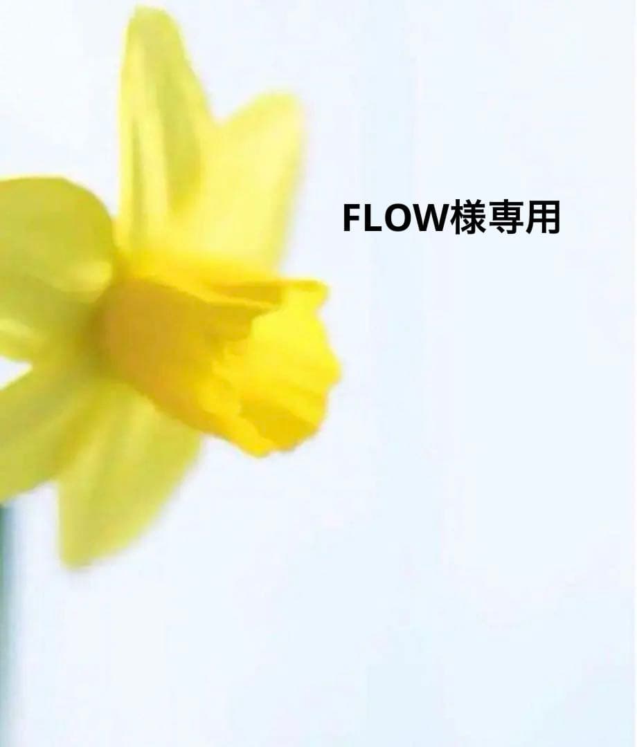 FLOW R Yoshimura Alpha Signature Slip-On Exhaust for Kawasaki ZX-10RR