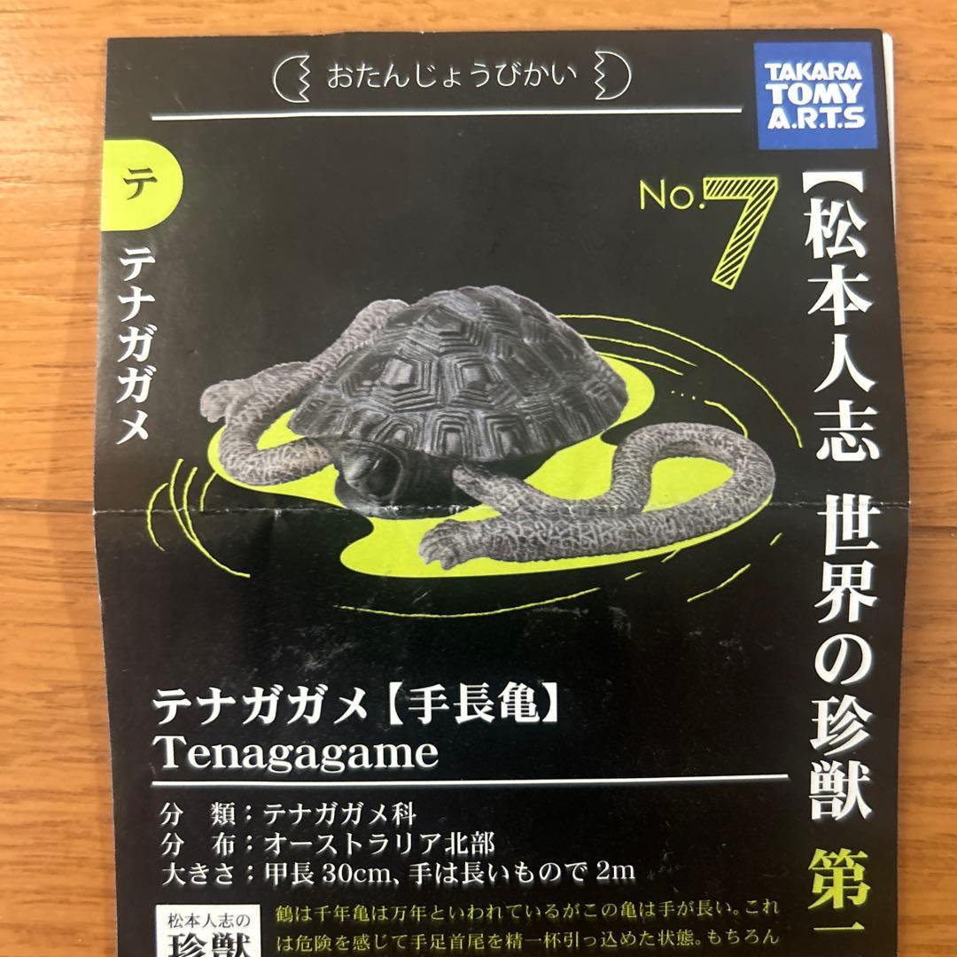 松本人志 世界の珍獣 2種2体セット！！ - メルカリ