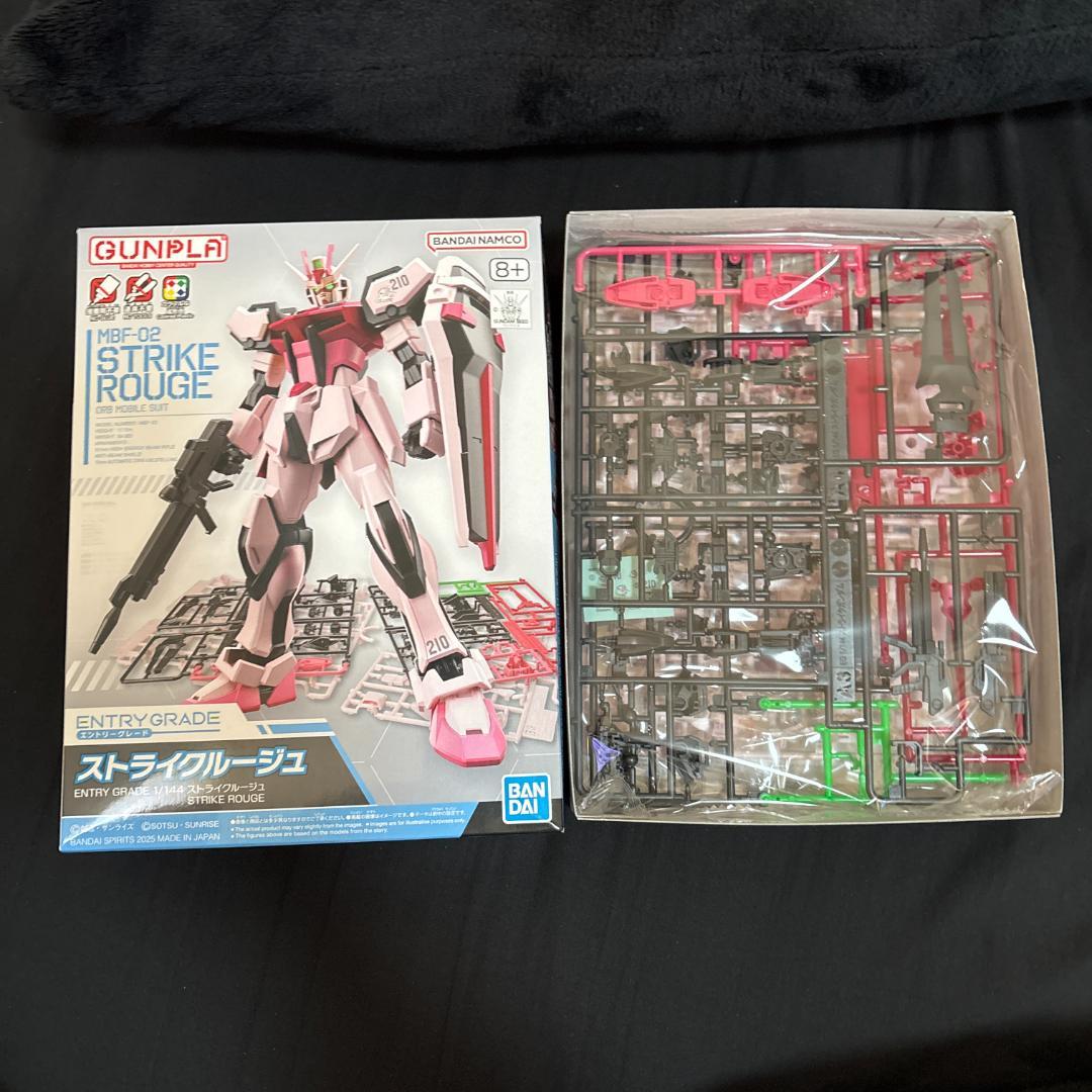 HG　EG　RG　ガンダムSEED　ガンプラ　新品 9種類　+おまけ完成品2種類