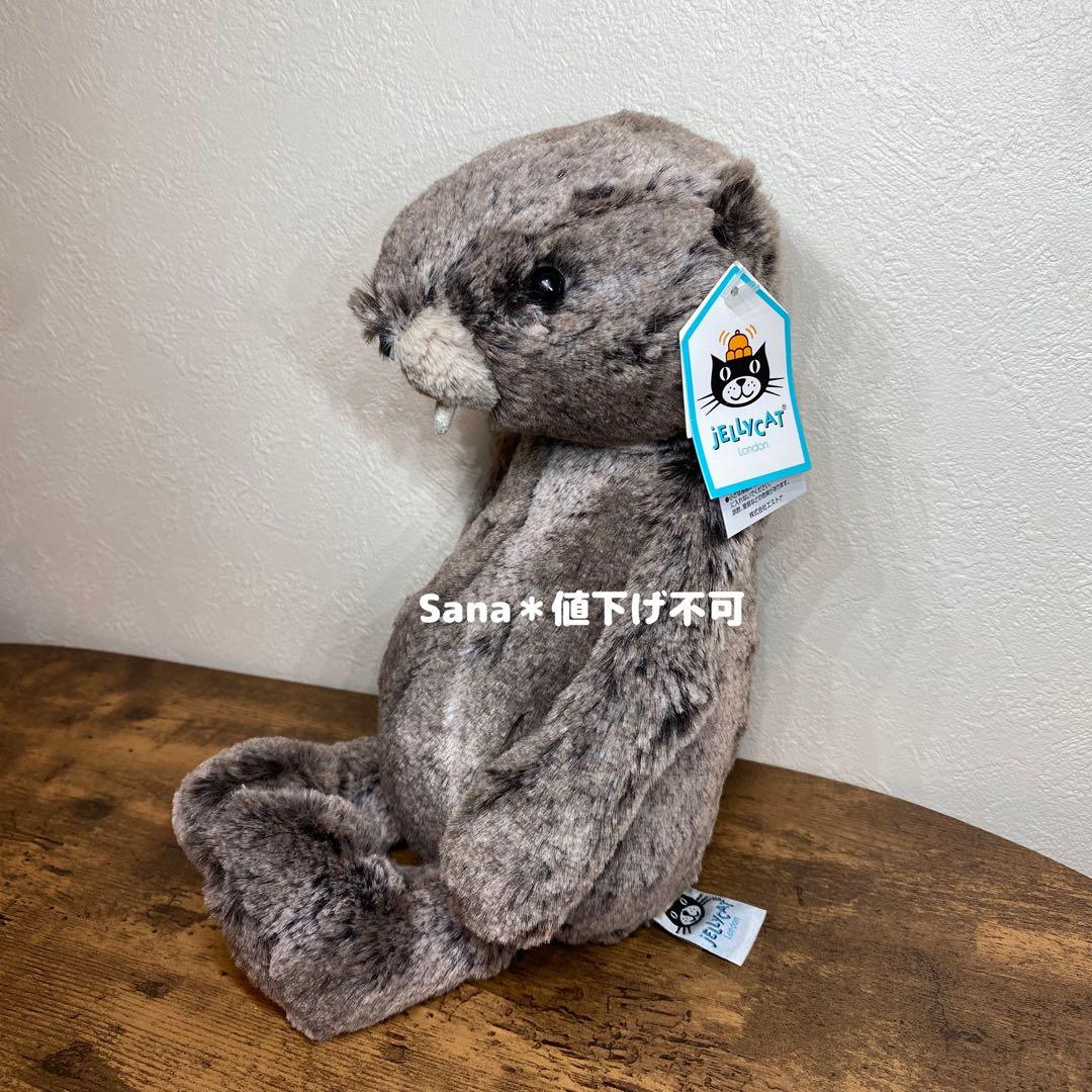 新品　廃盤　希少　 Bashful Marmot マーモット