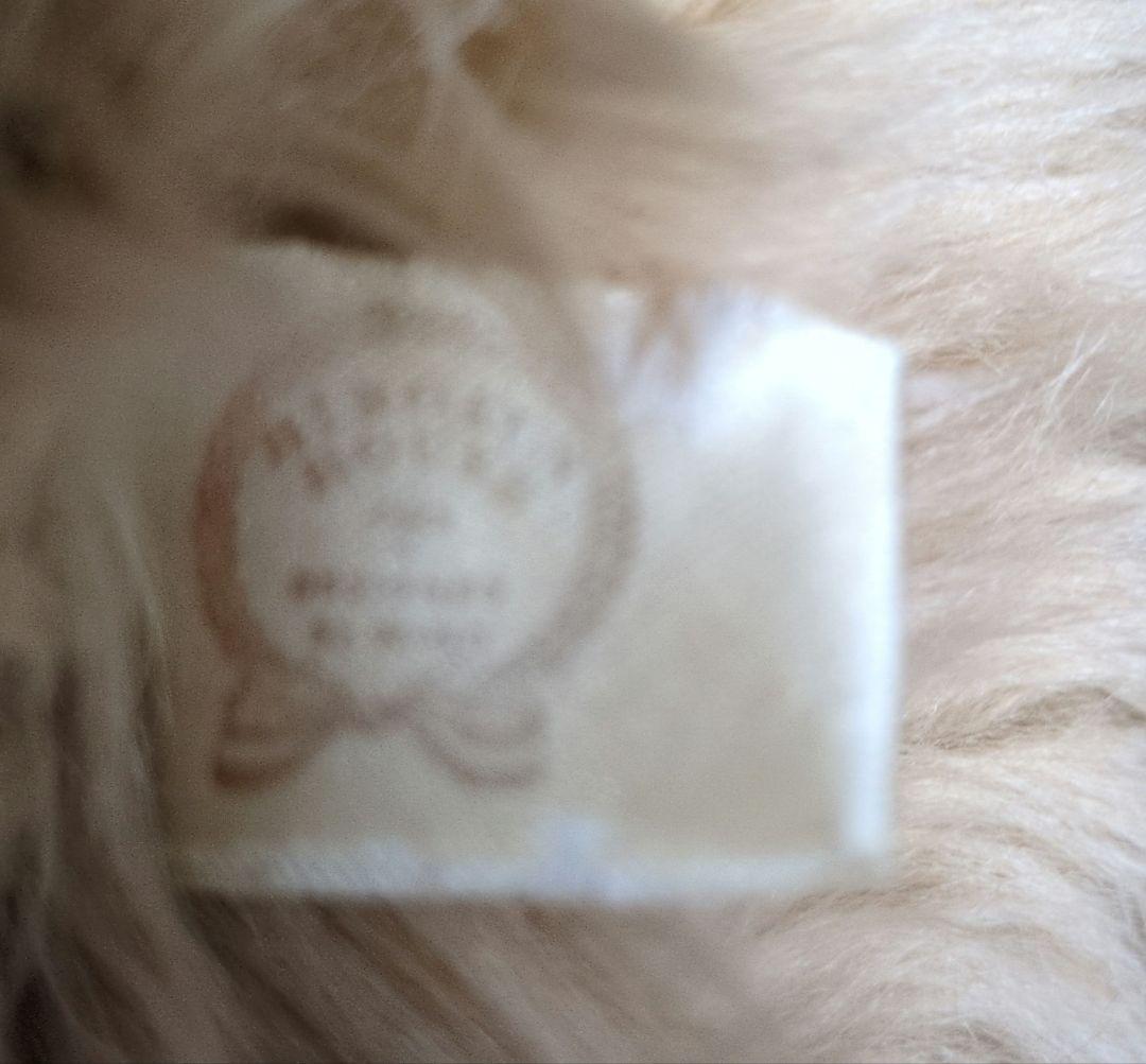 HIROKUN HOUSE 大きなベージュのテディベア - メルカリ