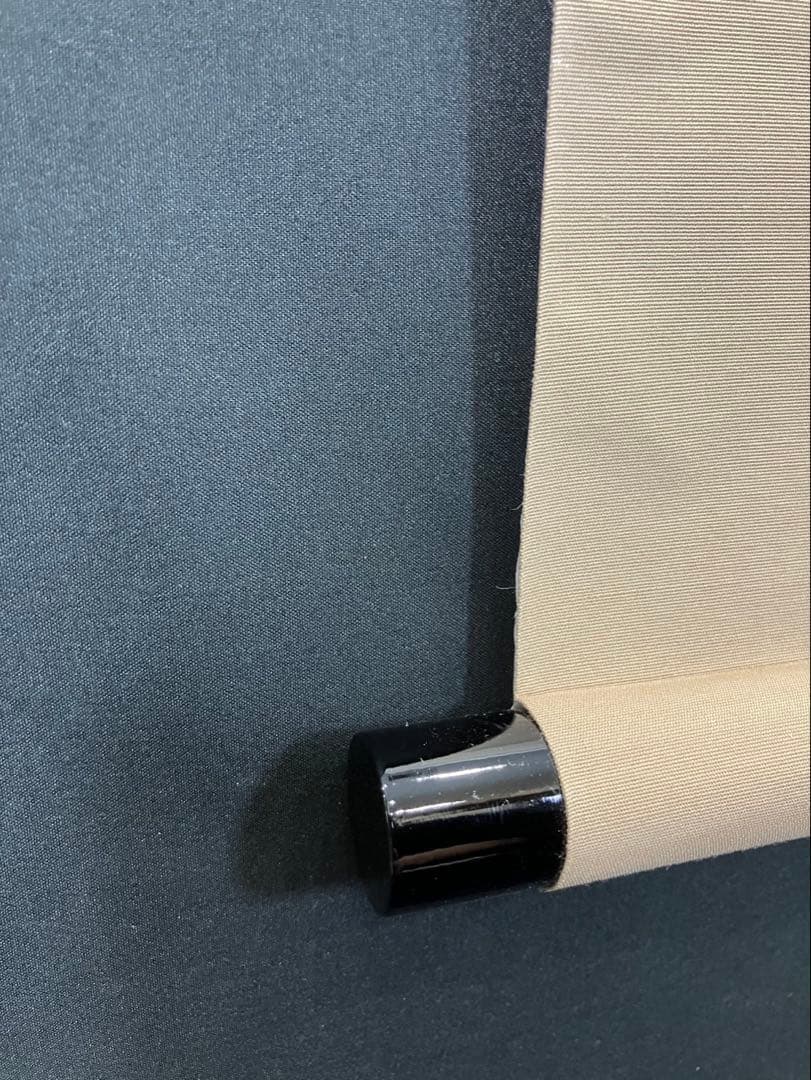 4170 泰道「瀧」 共箱 肉筆 紙本 書 掛軸 老師筆 臨済宗 大徳寺