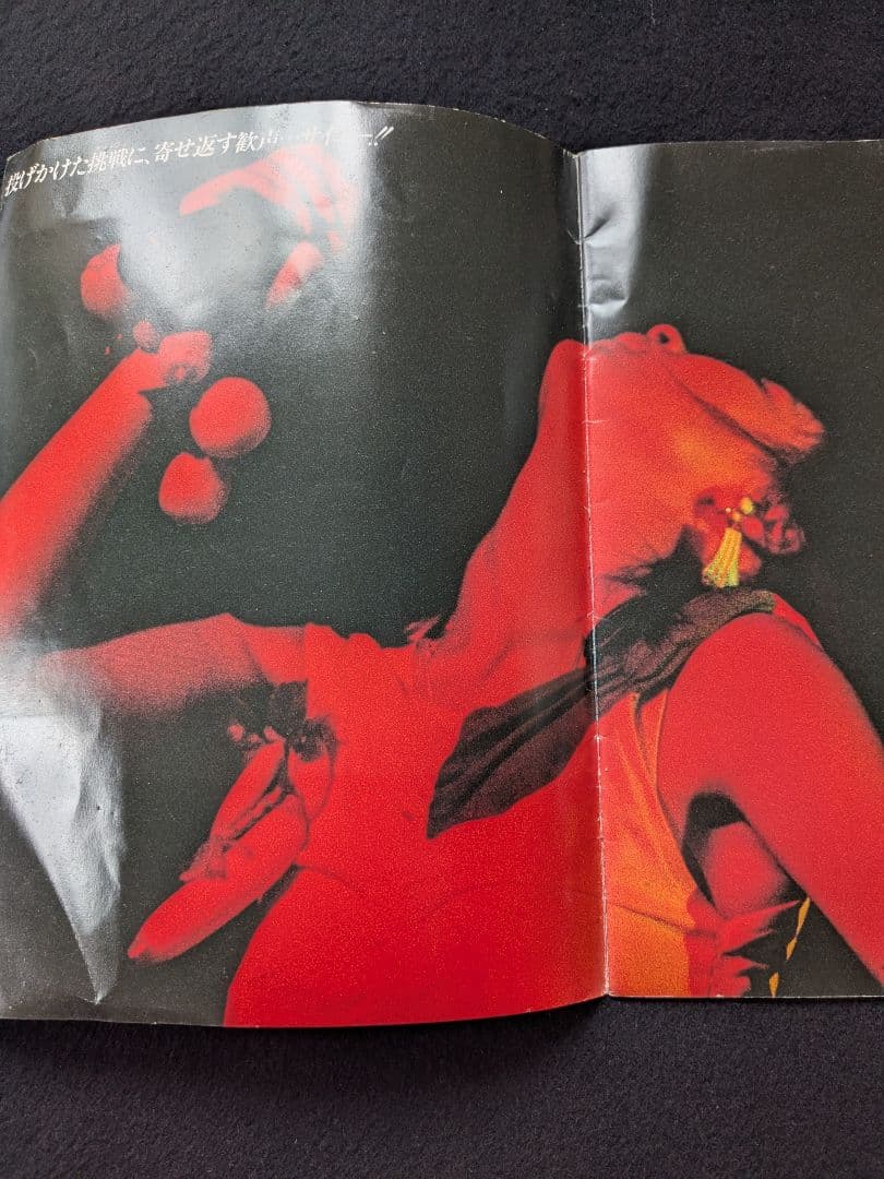 中山美穂 1986 コンサートツアーパンフレット　ライブ　写真　歌詞　メッセージ