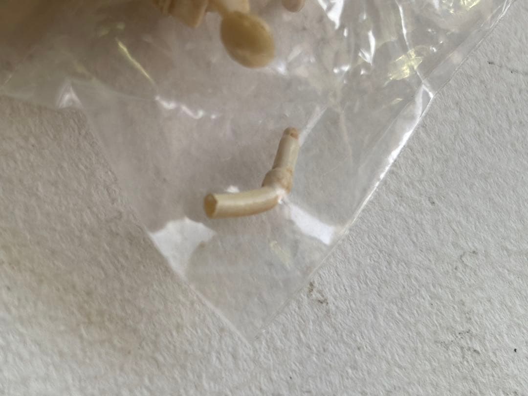 ROBOT全種➕未来の竹緒ちゃん 計13種セット　村田蓮爾　オール内袋未開封品！