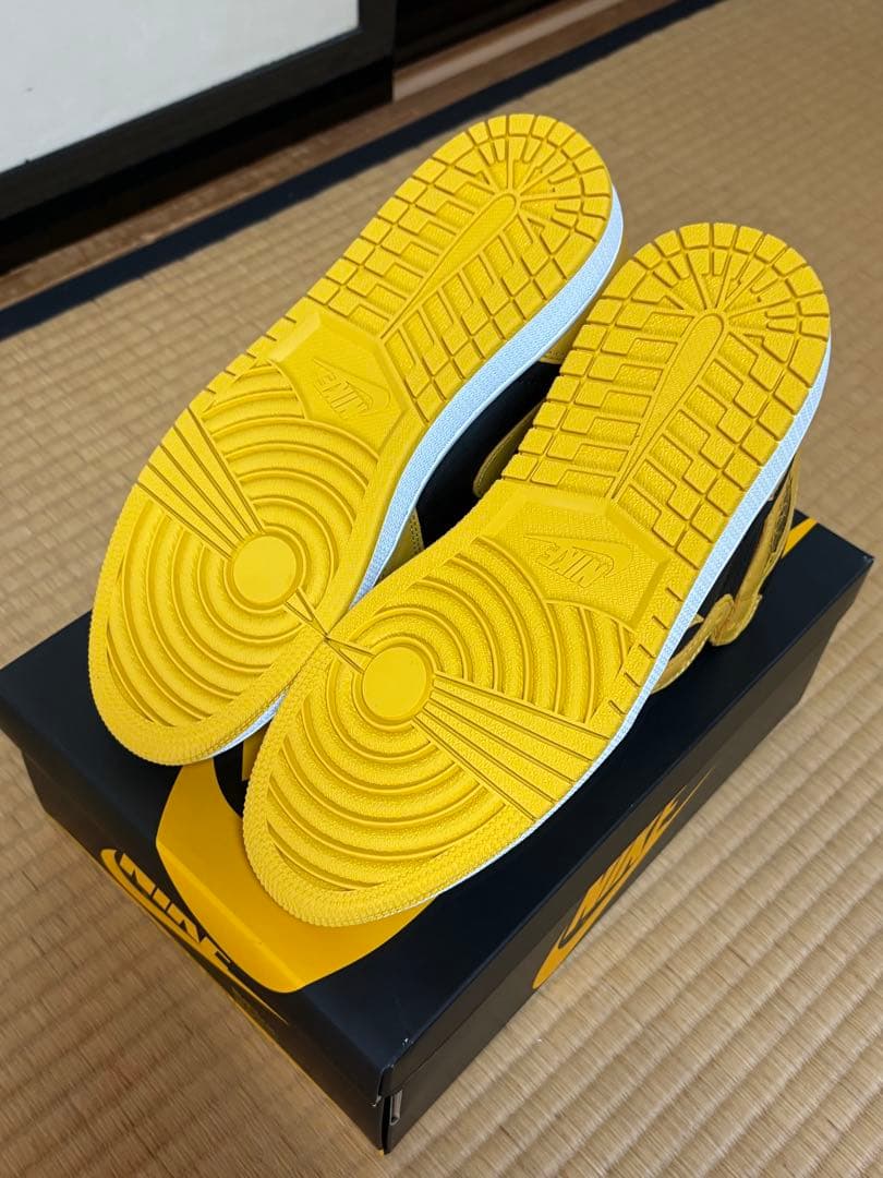 靴 NIKE Air Jordan 1 \"POLLEN\"