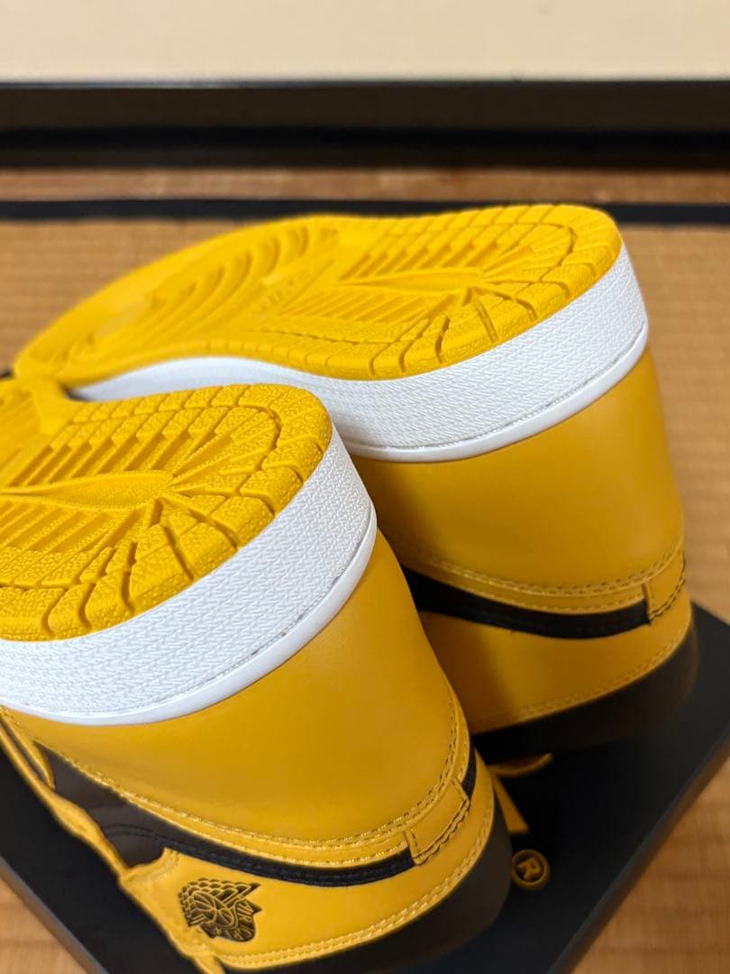 靴 NIKE Air Jordan 1 \"POLLEN\"