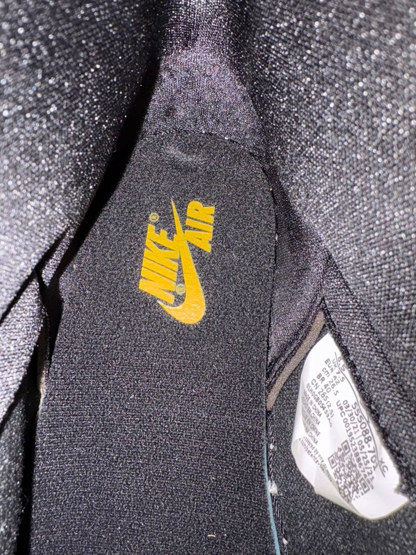 靴 NIKE Air Jordan 1 \"POLLEN\"