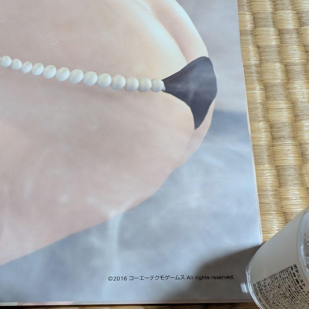 マリー・ローズ、エレナ・ダグラス B2お風呂ポスター 2枚セット タペストリー