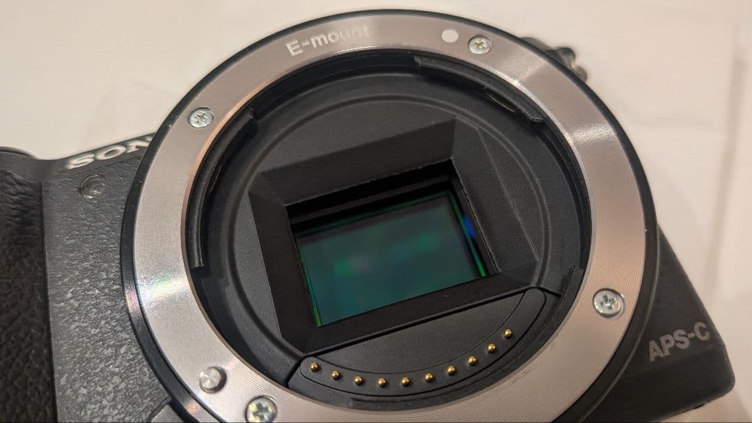 【ねここと】SONY α5100 E 3.5-5.6/PZ 16-50