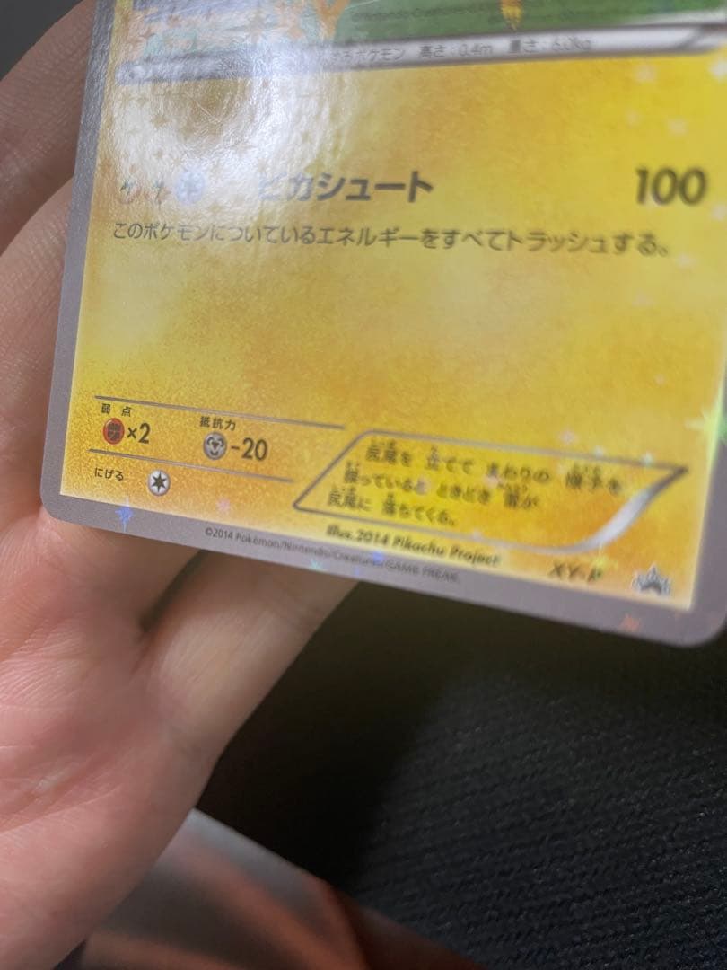 XY-P ピッチのピカチュウ_Jリーグ「ファミリー Joinデイズ」 笑顔版 …