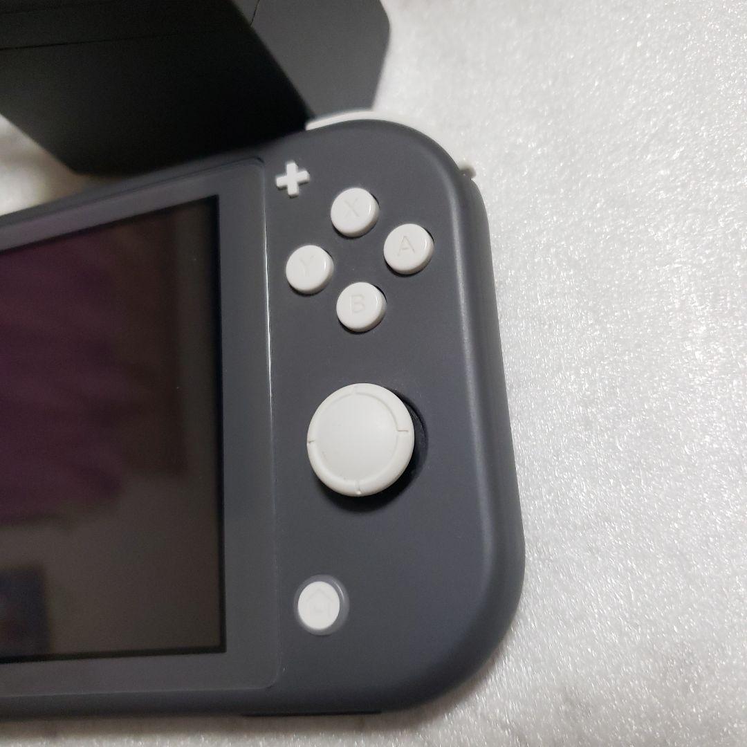 Nintendo Switch Lite グレー中古超美品充電器、SDカード付き