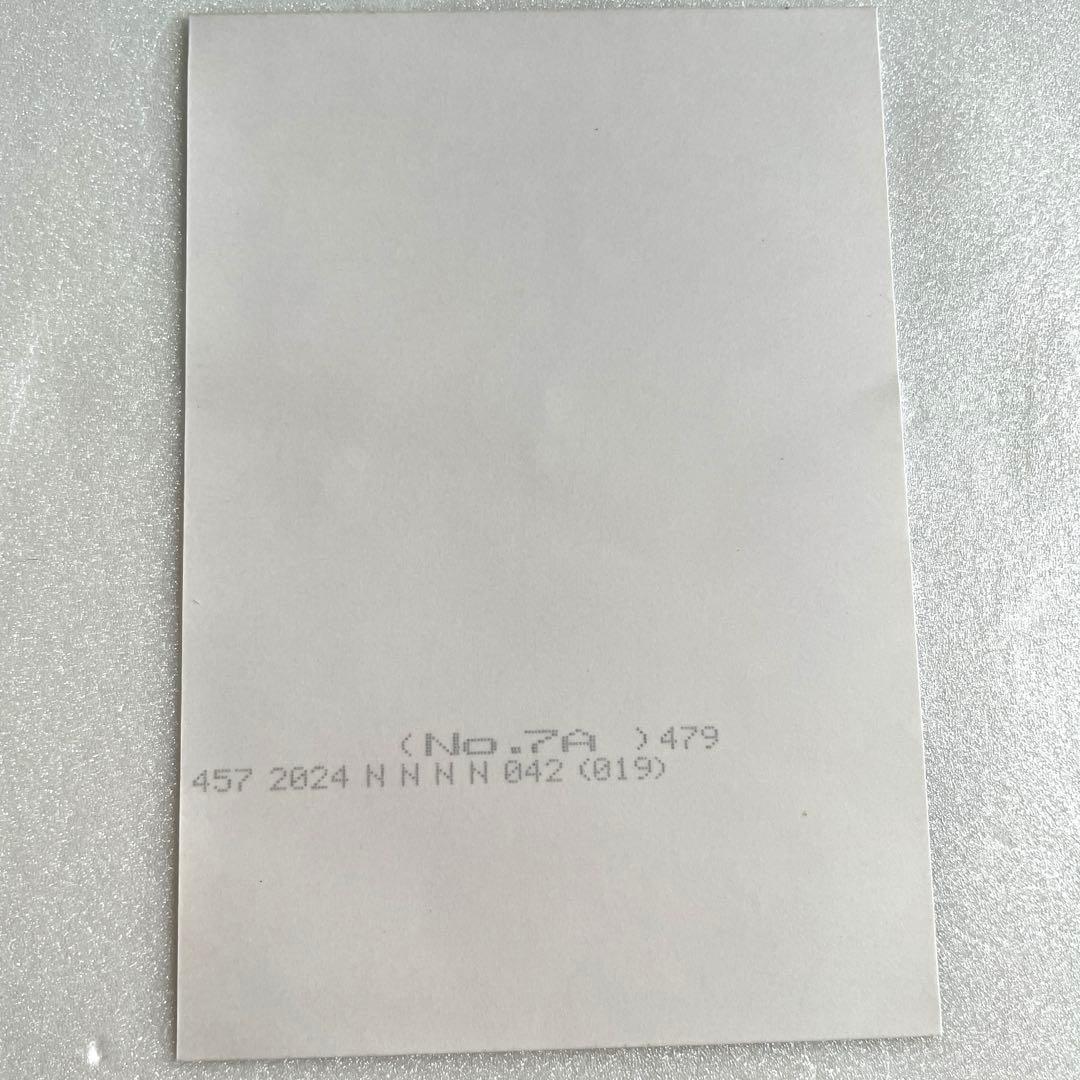 【激レア】【入手困難】SHAZNA シャズナ IZAM イザム 写真　1枚