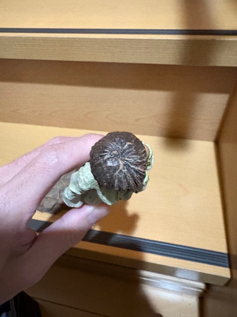 ART OF WAR ベルセルク キャスカ 生誕祭の章 特別版I 11003 - メルカリ