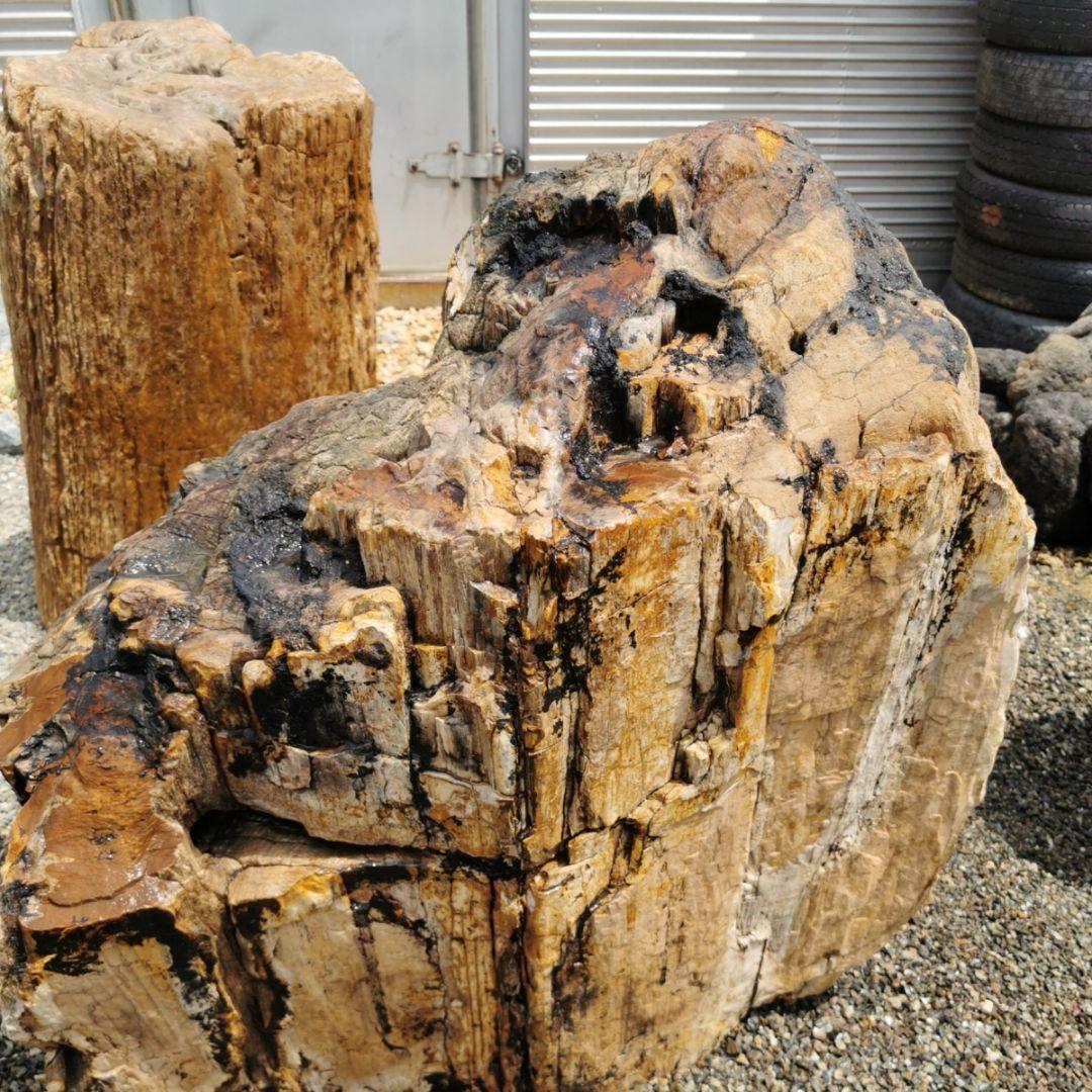 秋田産 珪化木 349キロ 木化石 庭石 石 鑑賞石 置物 オブジェ - メルカリ