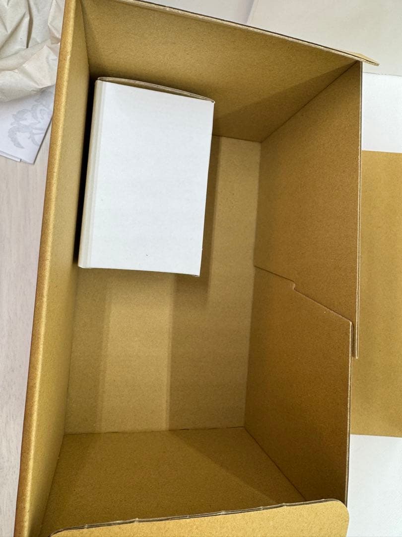 【美品】ozwrt TheCaudexMan CyphostemMan