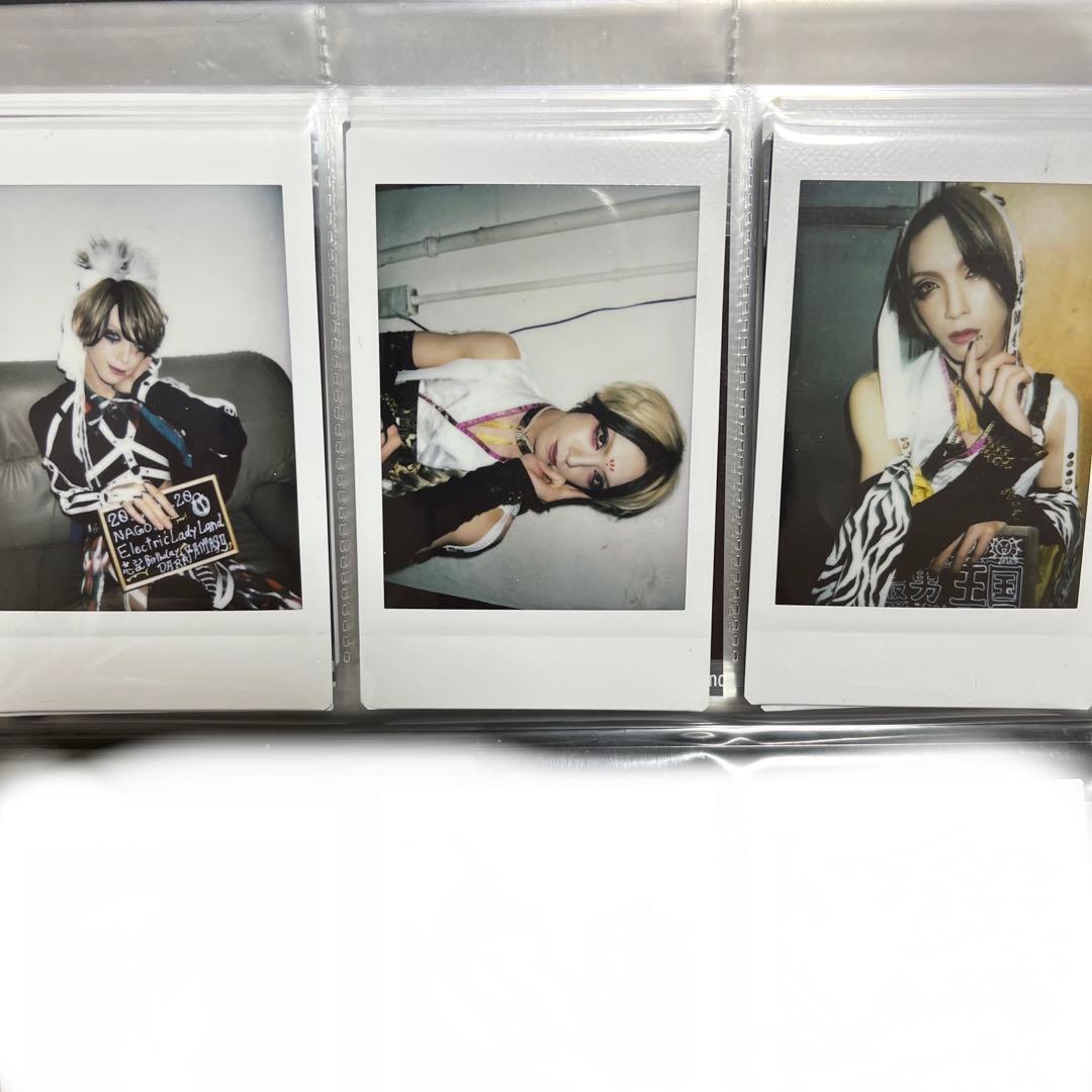 BabyKingdom チェキ