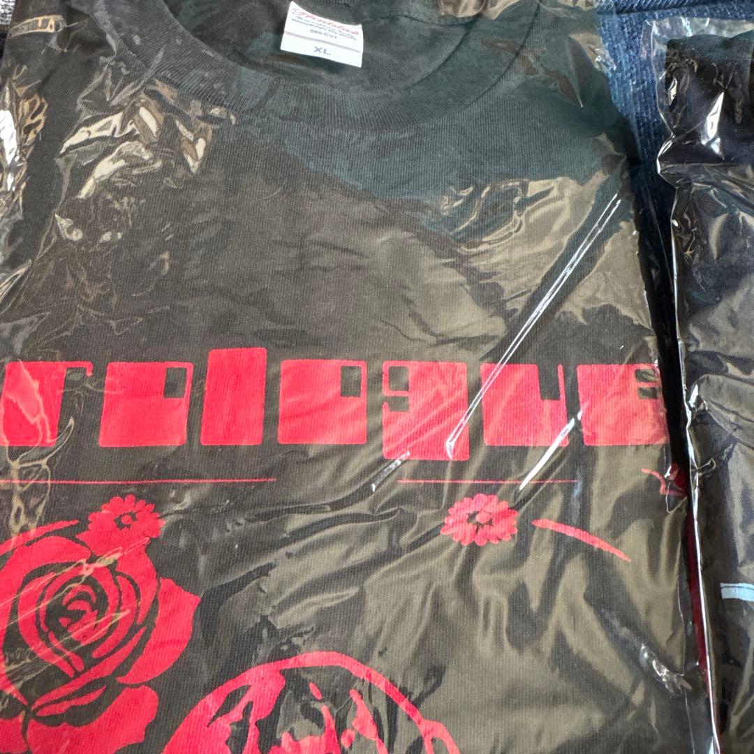 LOVEBITES 2025 Birthday Tシャツ　おまけ　計7枚