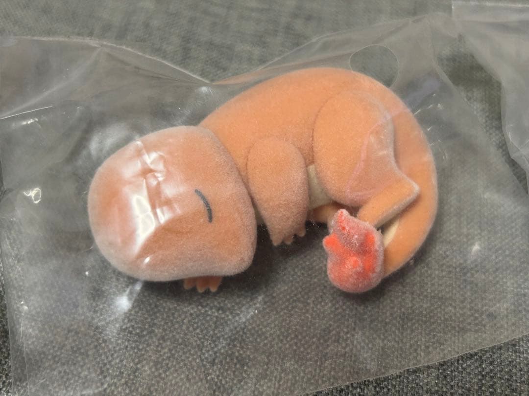 ポケモンスリープ　ポケモン　ワカクサ本島　フィギュア　6種コンプセット