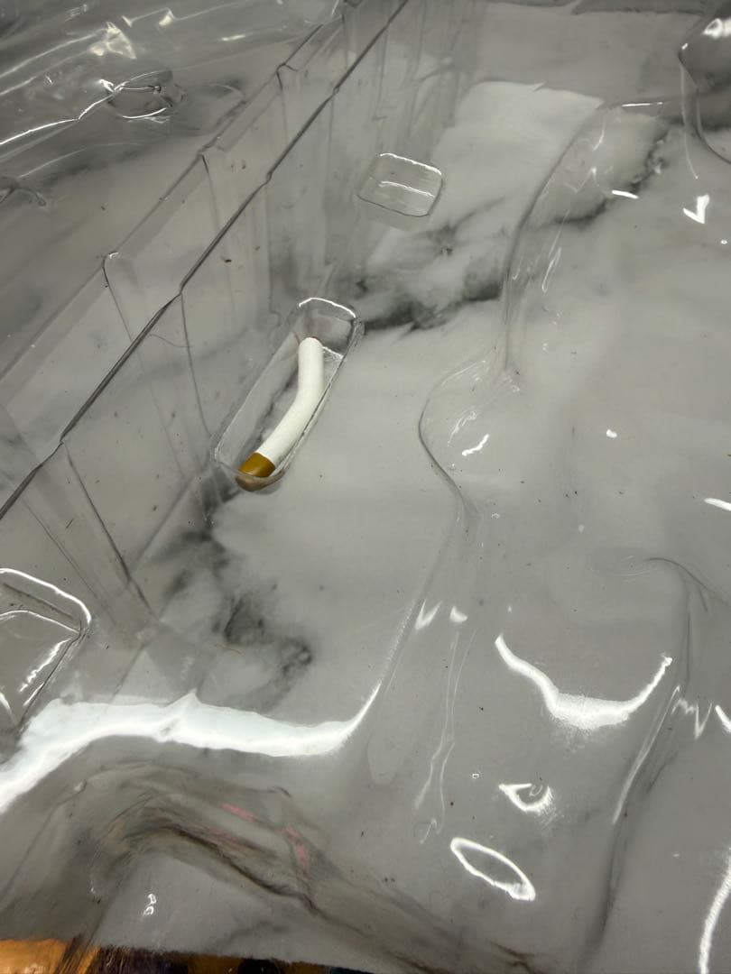 クローズ＆WORST Bone RO Style2体セット