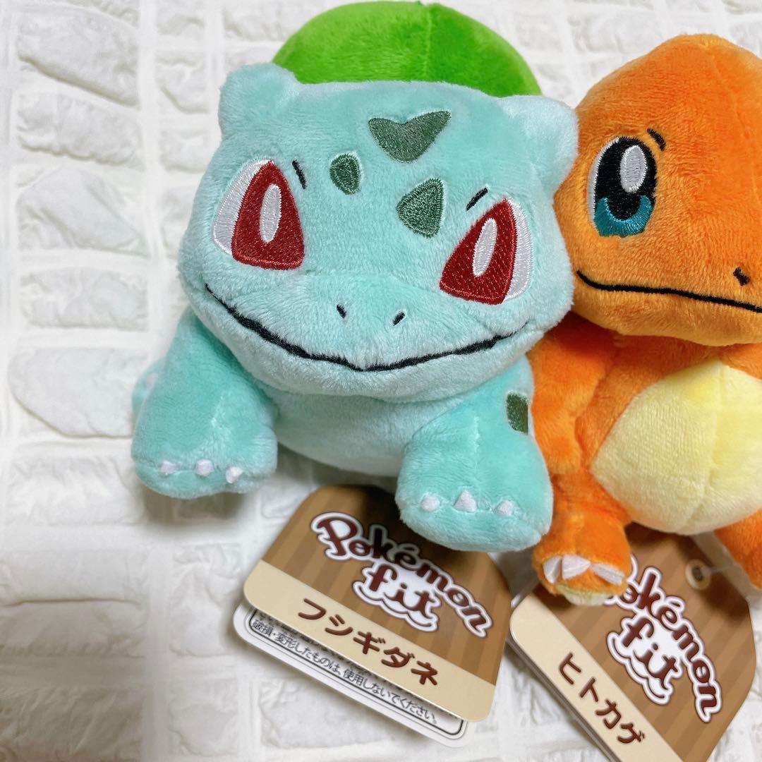 新品タグ付き ポケモン フィット カントー御三家 ヒトカゲ ゼニガメ