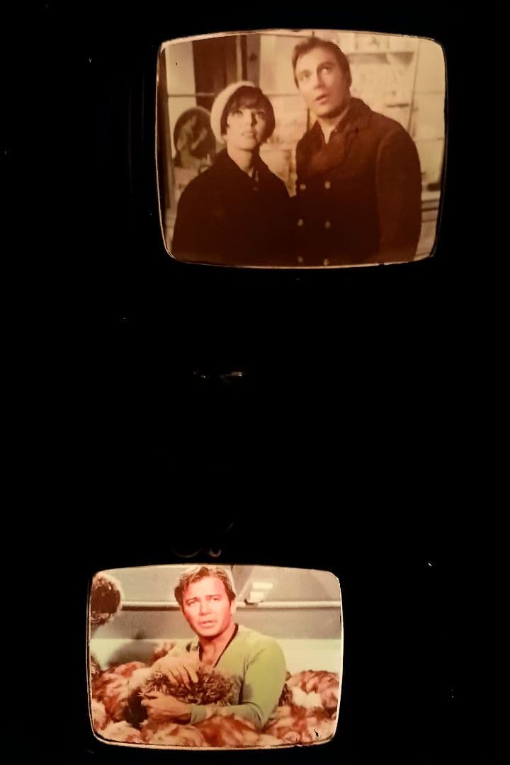 海外製 スタートレック テレビライト