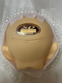 VOLKS 南条勲 SD13 ヘッド＋ボディ - メルカリ