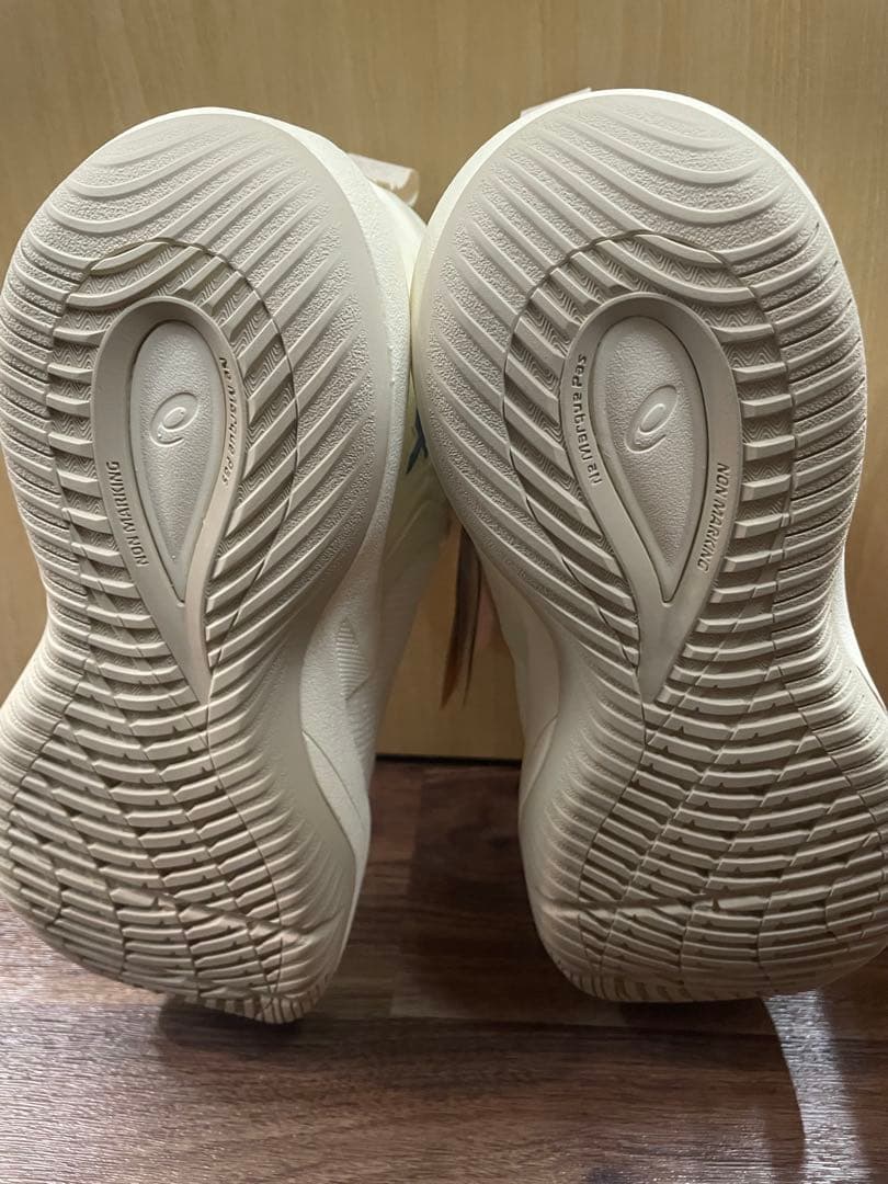 シューズ(男性用) NOVA SURGE 3 26.0cm