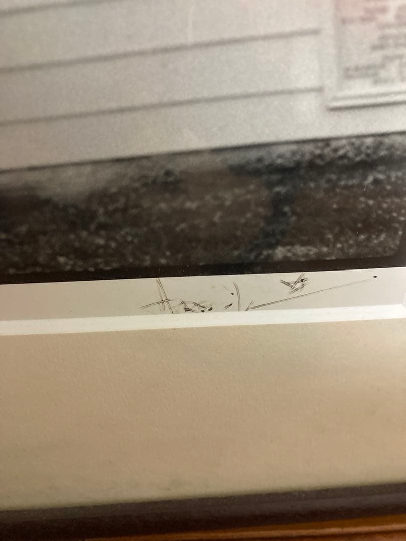 山崎まさよし　ハービー山口　写真　サイン入り