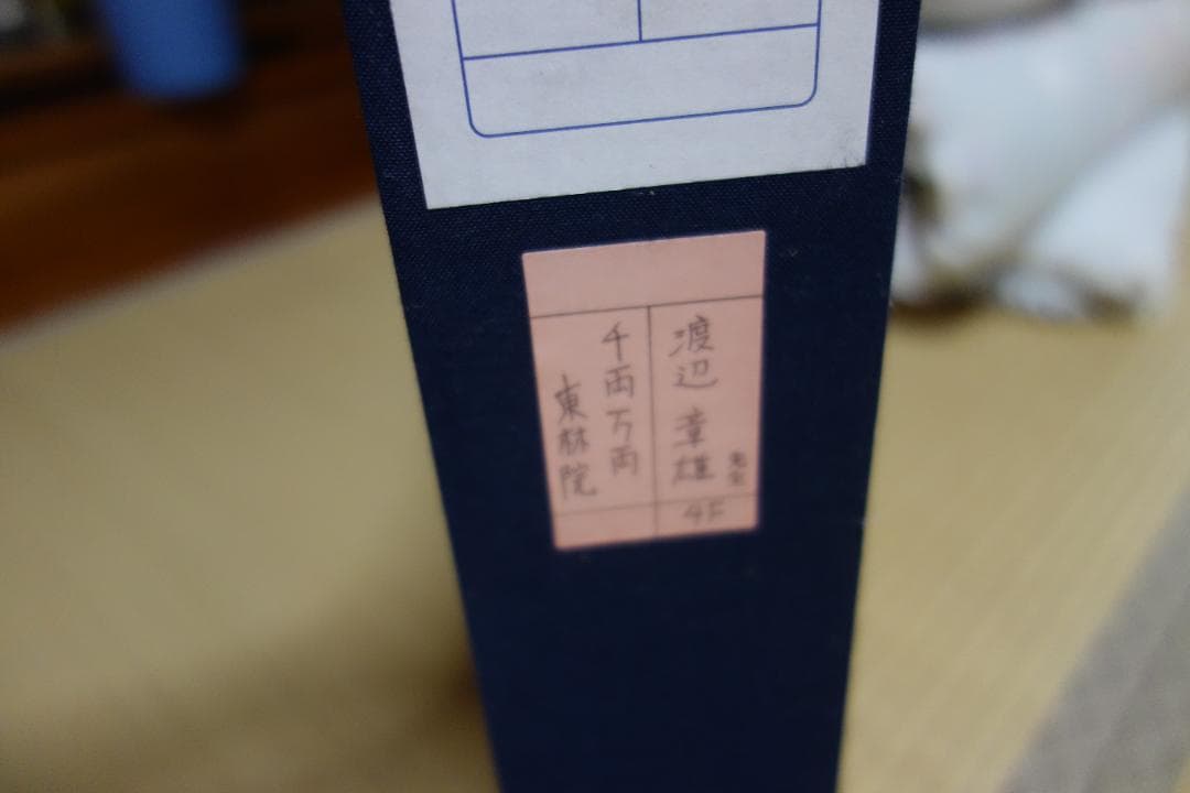 日本画 琳派 渡辺章雄 作 千両万両 東林院